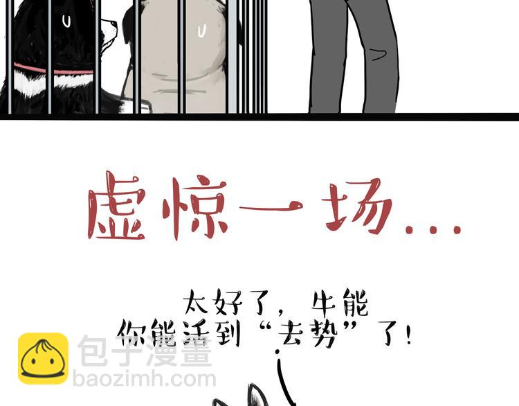 🍘吾皇巴扎黑 第118话 去势？！ 第37页