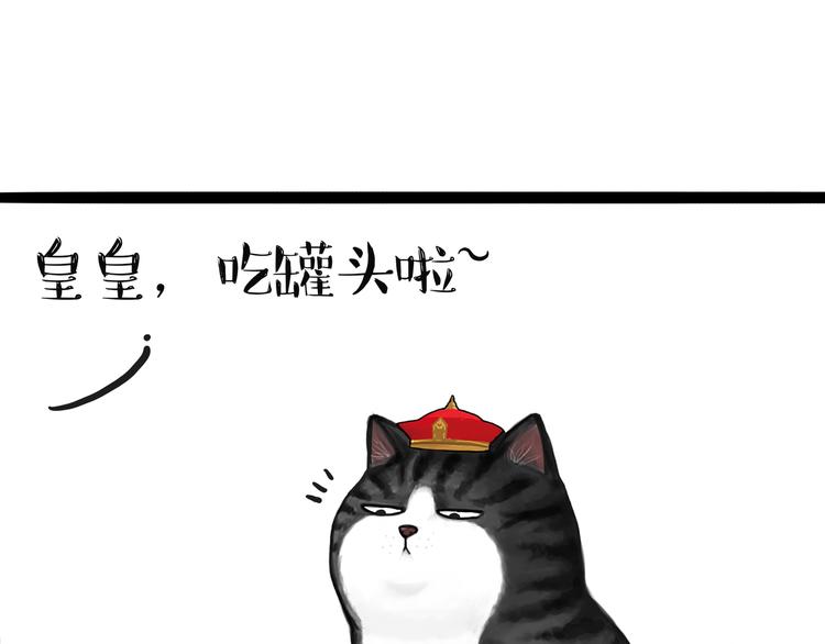 🍘吾皇巴扎黑 第124话 一只尊贵的喵 第11页