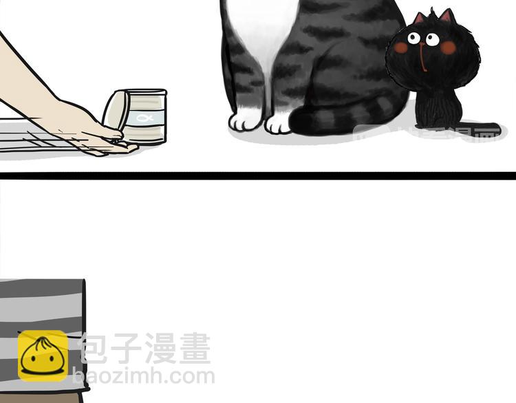 🍘吾皇巴扎黑 第124话 一只尊贵的喵 第12页