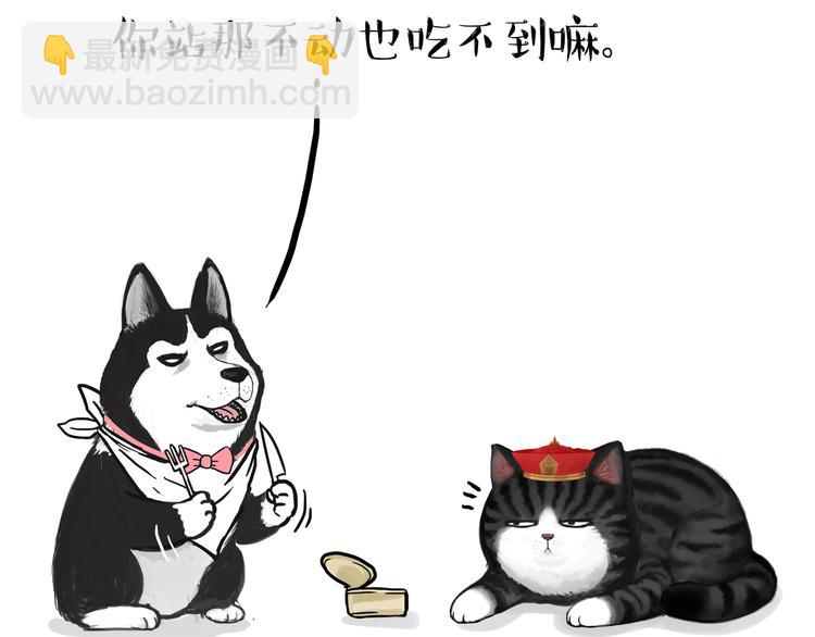 🍘吾皇巴扎黑 第124话 一只尊贵的喵 第19页