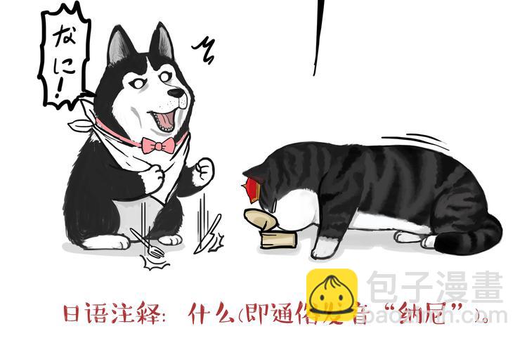 🍘吾皇巴扎黑 第124话 一只尊贵的喵 第21页
