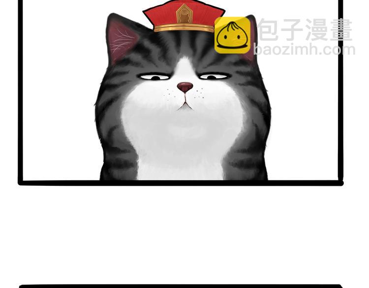 🍘吾皇巴扎黑 第124话 一只尊贵的喵 第3页