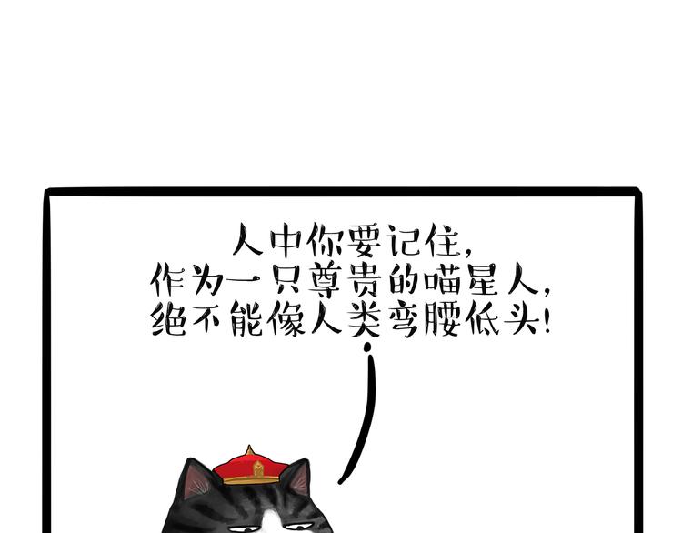 🍘吾皇巴扎黑 第124话 一只尊贵的喵 第8页