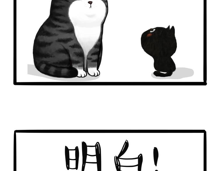 🍘吾皇巴扎黑 第124话 一只尊贵的喵 第9页