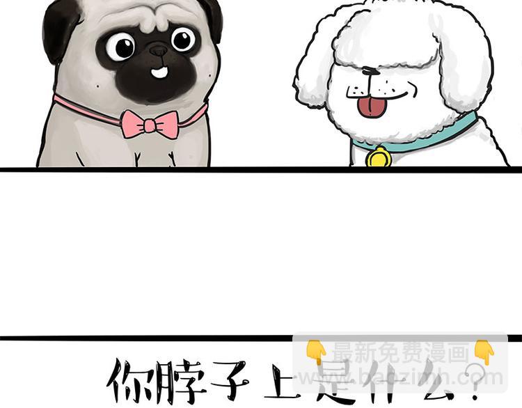 🍘吾皇巴扎黑 第126话 巴扎黑你什么都不懂 第17页