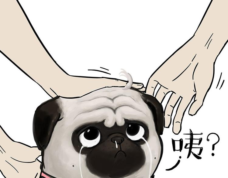 🍘吾皇巴扎黑 第126话 巴扎黑你什么都不懂 第25页