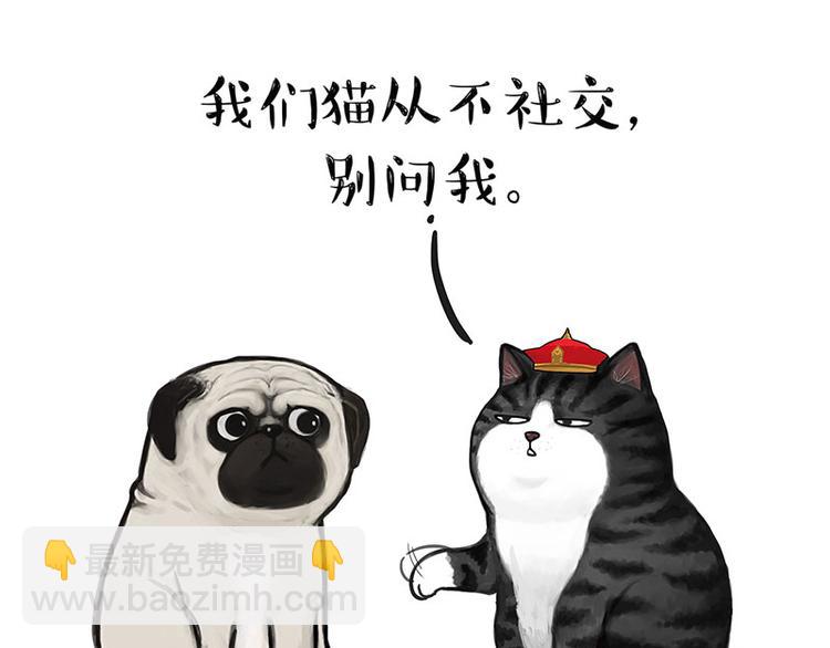🍘吾皇巴扎黑 第126话 巴扎黑你什么都不懂 第3页