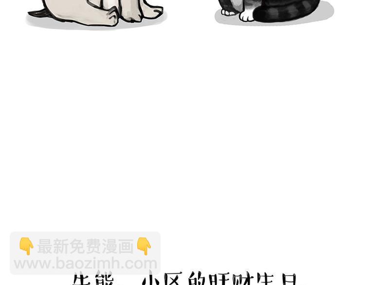 🍘吾皇巴扎黑 第126话 巴扎黑你什么都不懂 第4页