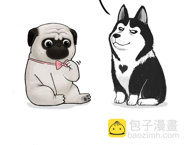 🍘吾皇巴扎黑 第126话 巴扎黑你什么都不懂 第41页
