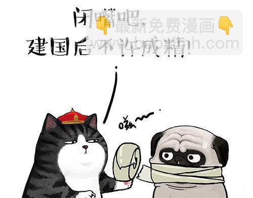 🍘吾皇巴扎黑 第128话 黑话 第37页