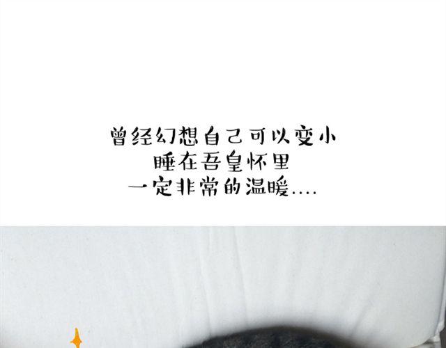 🍘吾皇巴扎黑 第14话 缩小后最容易遇见什么 第1页