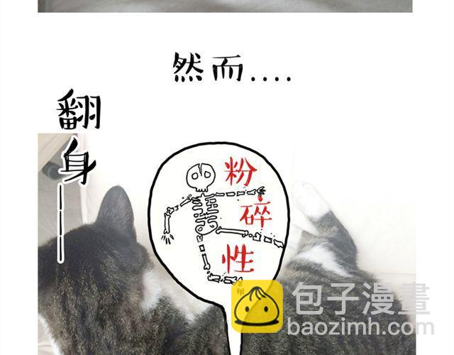 🍘吾皇巴扎黑 第14话 缩小后最容易遇见什么 第12页