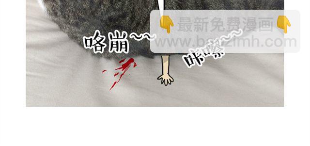 🍘吾皇巴扎黑 第14话 缩小后最容易遇见什么 第13页