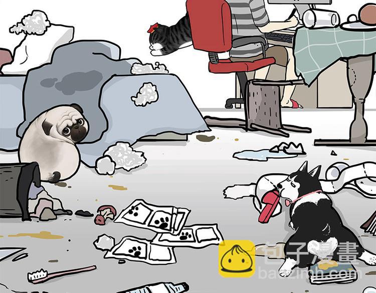 🍘吾皇巴扎黑 第134话 溺爱 第41页
