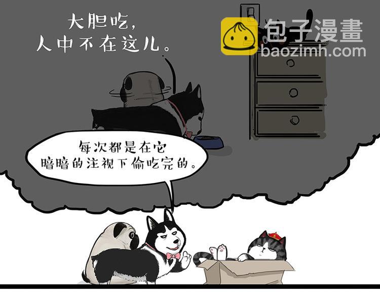 🍘吾皇巴扎黑 第136话 不一样又如何 第31页