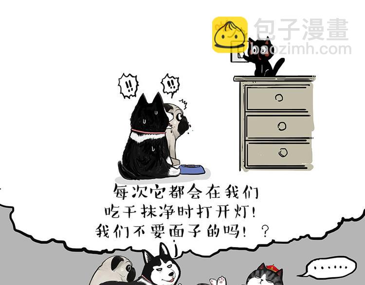 🍘吾皇巴扎黑 第136话 不一样又如何 第32页