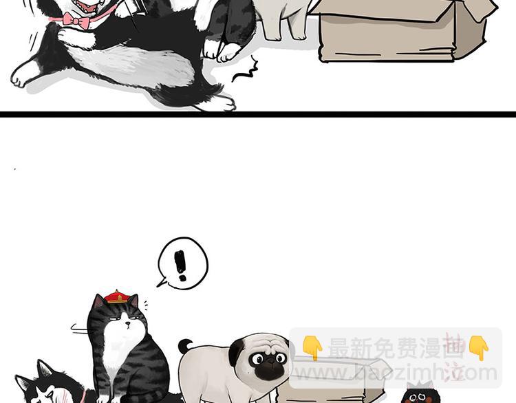 🍘吾皇巴扎黑 第136话 不一样又如何 第35页