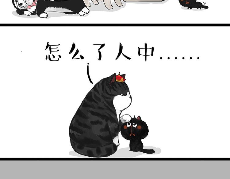 🍘吾皇巴扎黑 第136话 不一样又如何 第36页