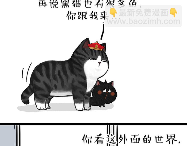 🍘吾皇巴扎黑 第136话 不一样又如何 第38页