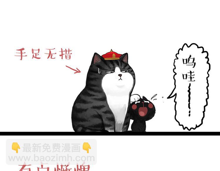 🍘吾皇巴扎黑 第136话 不一样又如何 第42页