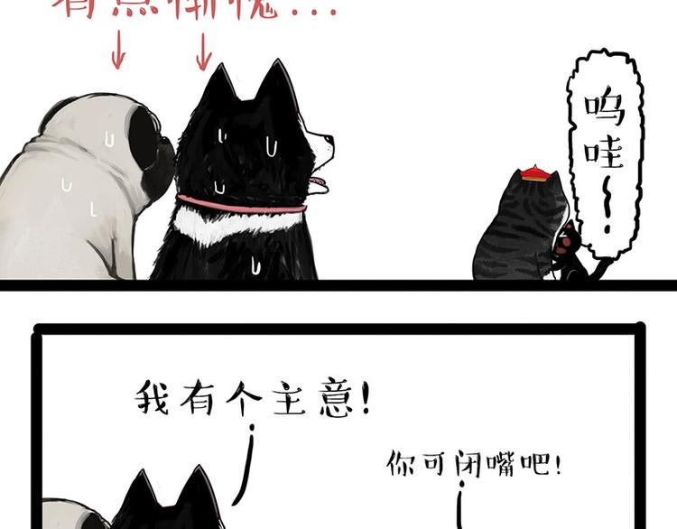 🍘吾皇巴扎黑 第136话 不一样又如何 第43页