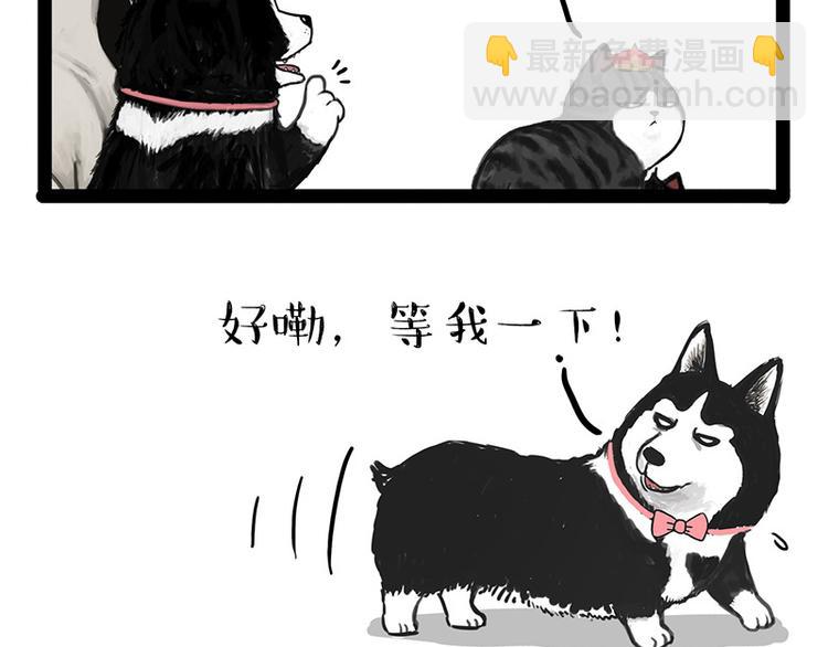 🍘吾皇巴扎黑 第136话 不一样又如何 第44页