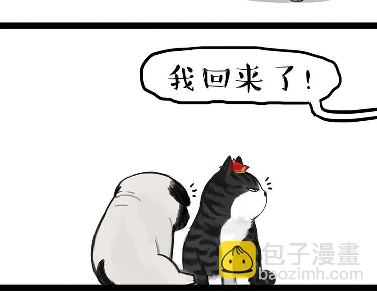 🍘吾皇巴扎黑 第136话 不一样又如何 第45页