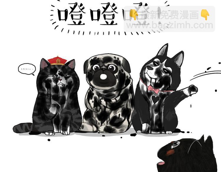 🍘吾皇巴扎黑 第136话 不一样又如何 第47页