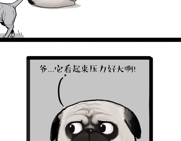 🍘吾皇巴扎黑 第138话 来人救驾 第11页