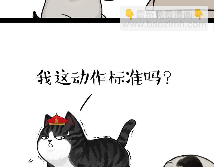 🍘吾皇巴扎黑 第138话 来人救驾 第13页