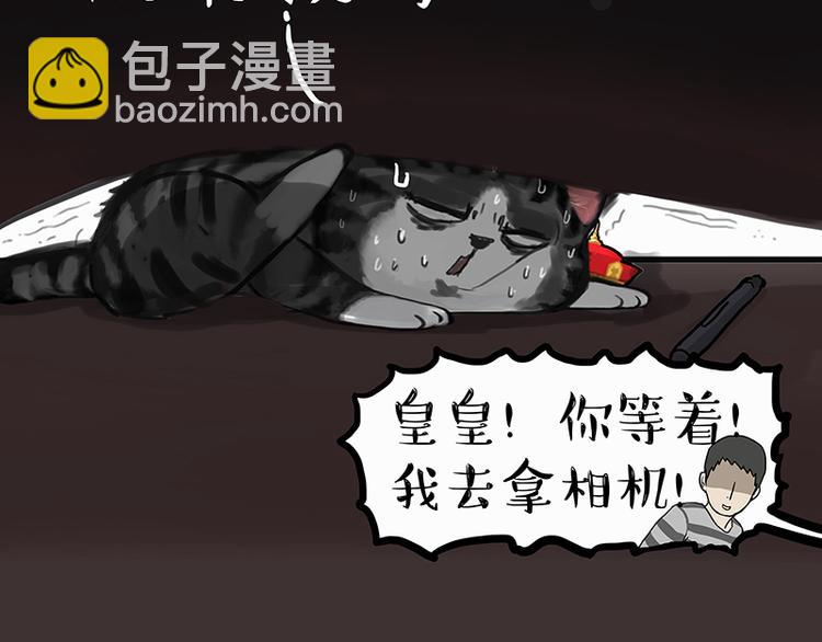 🍘吾皇巴扎黑 第138话 来人救驾 第41页