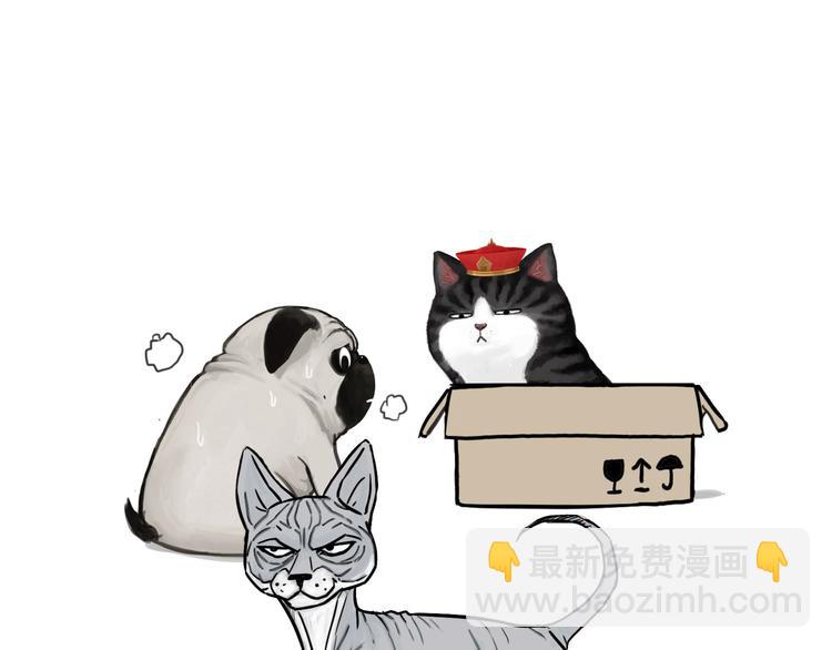 🍘吾皇巴扎黑 第138话 来人救驾 第9页