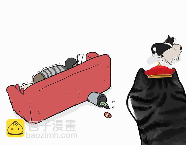 🍘吾皇巴扎黑 第140话 抬头看，苍天饶过谁 第12页