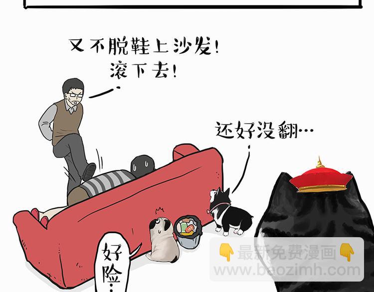 🍘吾皇巴扎黑 第140话 抬头看，苍天饶过谁 第15页