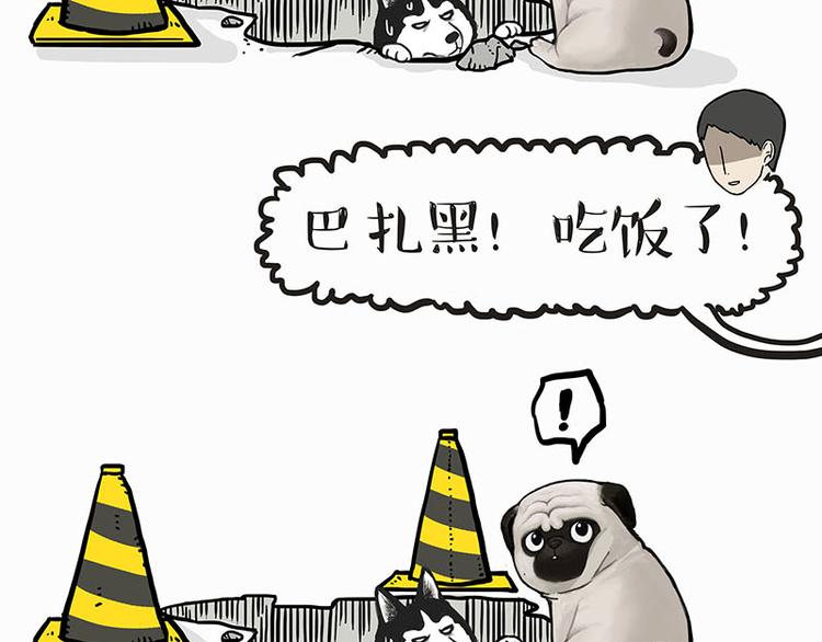 🍘吾皇巴扎黑 第140话 抬头看，苍天饶过谁 第20页