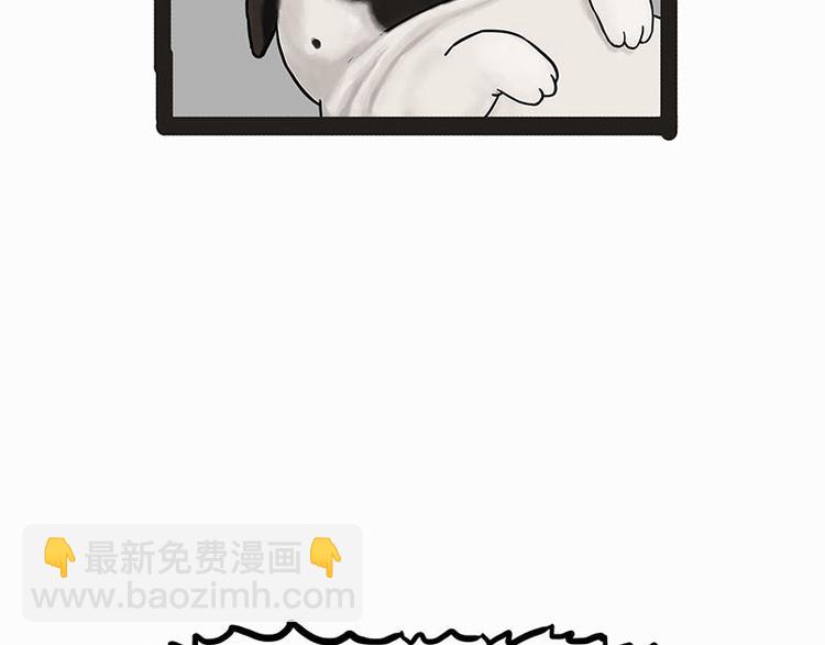 🍘吾皇巴扎黑 第140话 抬头看，苍天饶过谁 第31页
