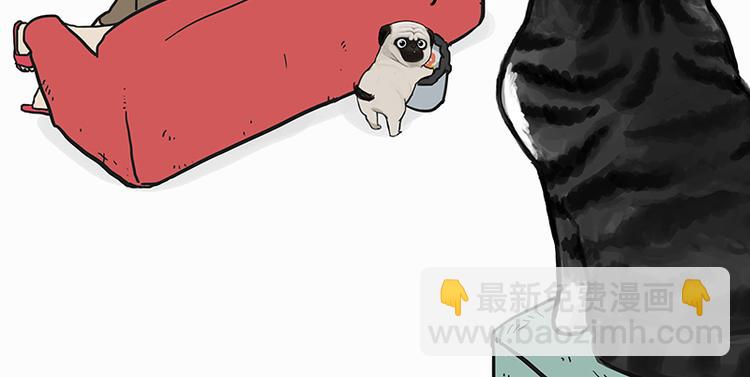 🍘吾皇巴扎黑 第140话 抬头看，苍天饶过谁 第7页