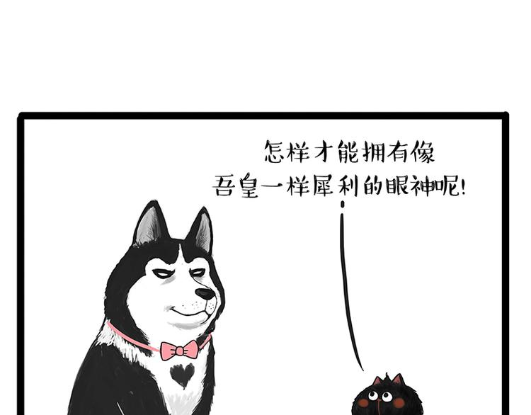 🍘吾皇巴扎黑 第142话 骗人的大人最讨厌了 第13页