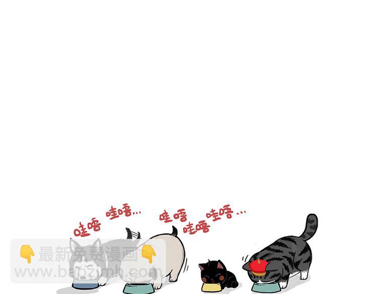🍘吾皇巴扎黑 第150话 天下套路一般黑 第34页