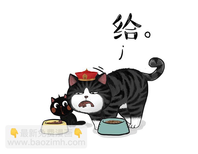 🍘吾皇巴扎黑 第150话 天下套路一般黑 第40页