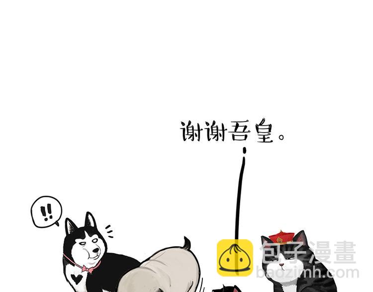 🍘吾皇巴扎黑 第150话 天下套路一般黑 第41页