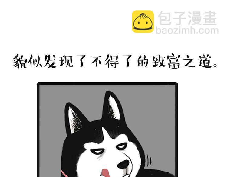 🍘吾皇巴扎黑 第150话 天下套路一般黑 第43页