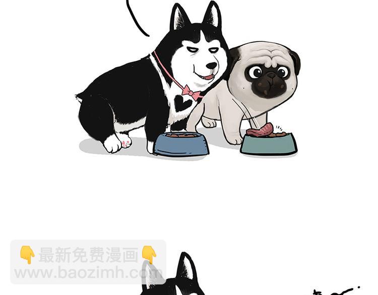 🍘吾皇巴扎黑 第150话 天下套路一般黑 第45页