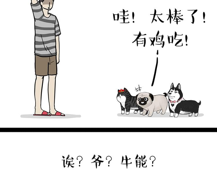 🍘吾皇巴扎黑 第150话 天下套路一般黑 第50页