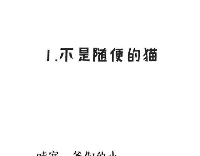 🍘吾皇巴扎黑 第16话 我家猫怎么能牺牲色相 第1页