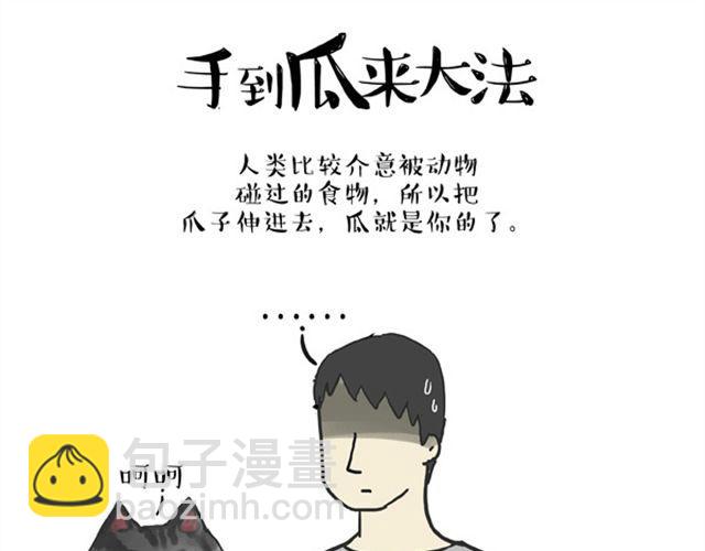🍘吾皇巴扎黑 第16话 我家猫怎么能牺牲色相 第14页