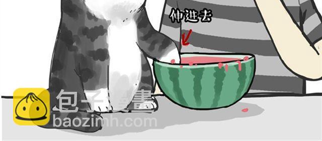 🍘吾皇巴扎黑 第16话 我家猫怎么能牺牲色相 第18页