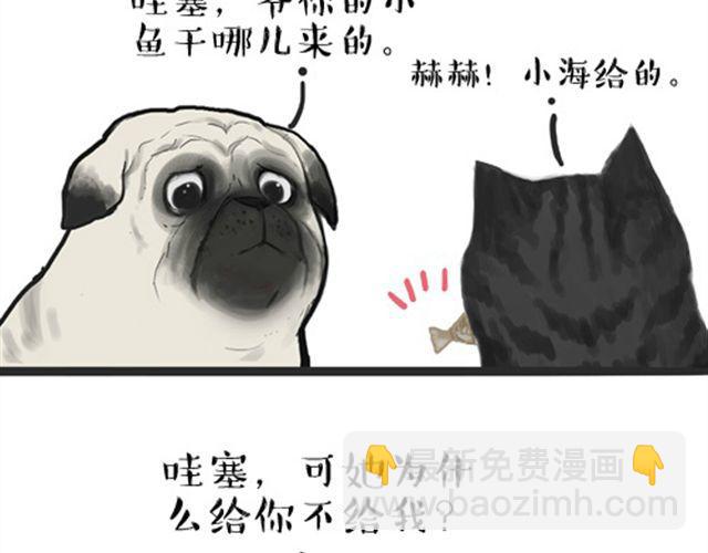 🍘吾皇巴扎黑 第16话 我家猫怎么能牺牲色相 第2页