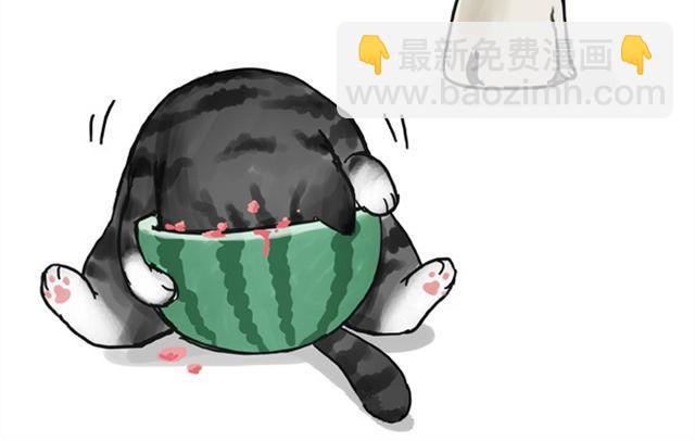 🍘吾皇巴扎黑 第16话 我家猫怎么能牺牲色相 第20页