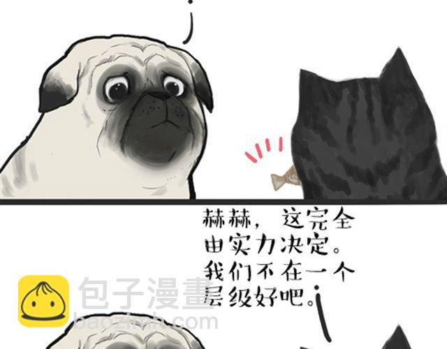 🍘吾皇巴扎黑 第16话 我家猫怎么能牺牲色相 第3页